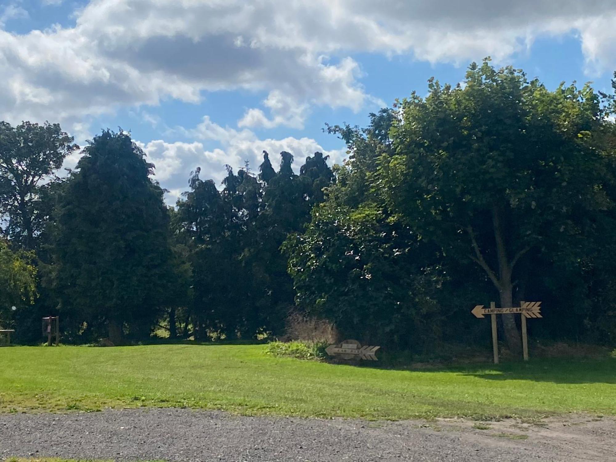 Roe Deer Meadow At Carr House Farm Ξενοδοχείο Σκάρμπορο Εξωτερικό φωτογραφία